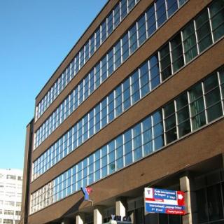 international language school
