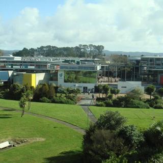 business school new zealand